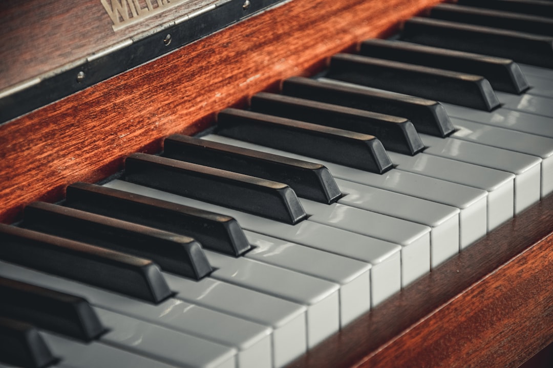 a close up of a piano keyboard with many keys