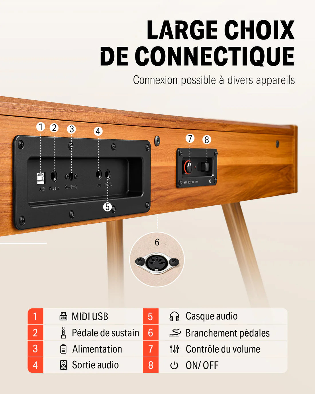 Donner DDP-80 + Piano LED Plus 2026®