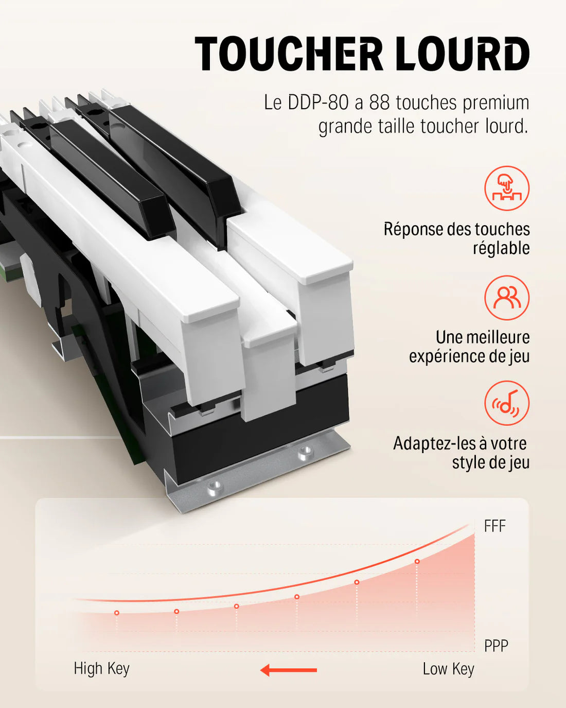 Donner DDP-80 + Piano LED Plus 2026®