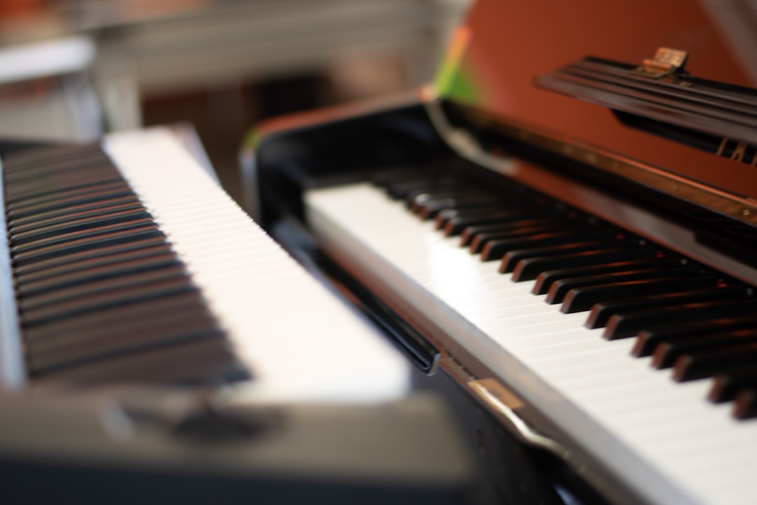 a close up of a black and white piano