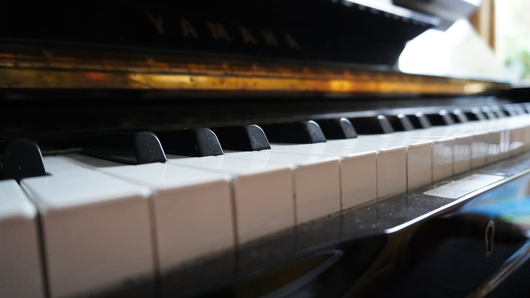 a close up of a piano with a black and white keyboard