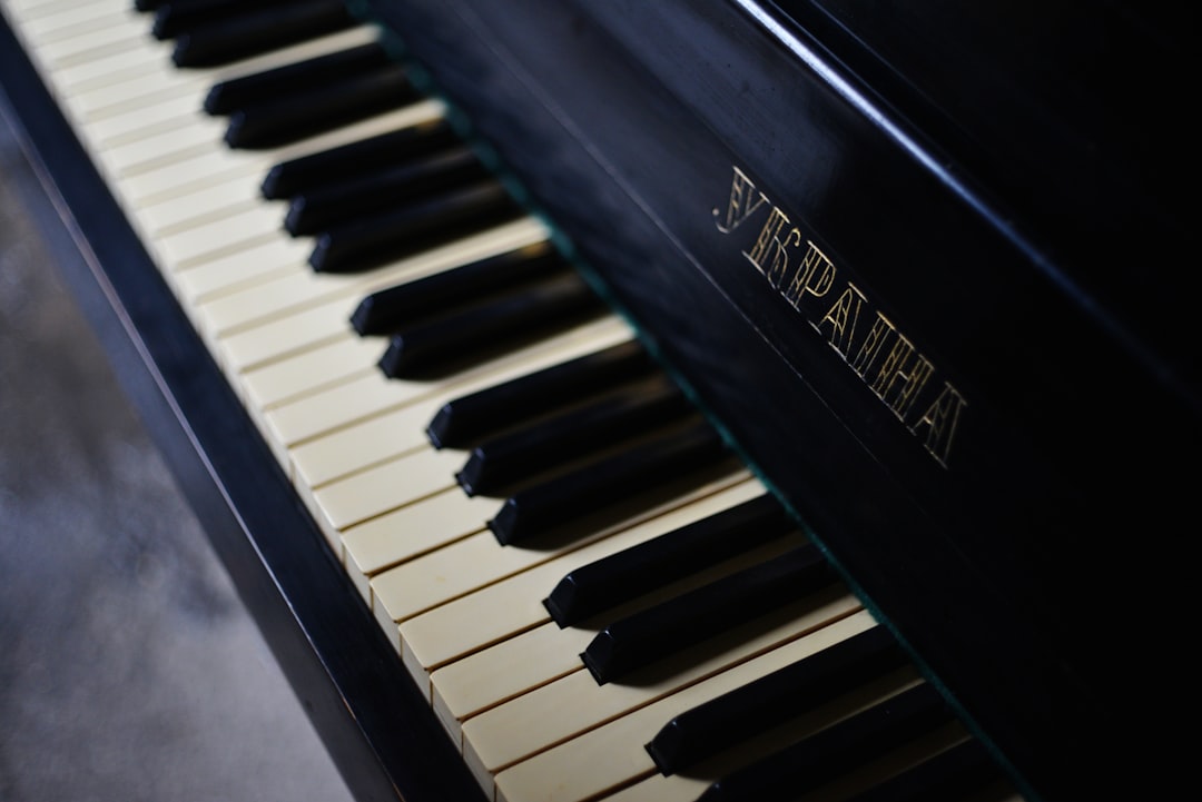 a close up of the keys of a piano