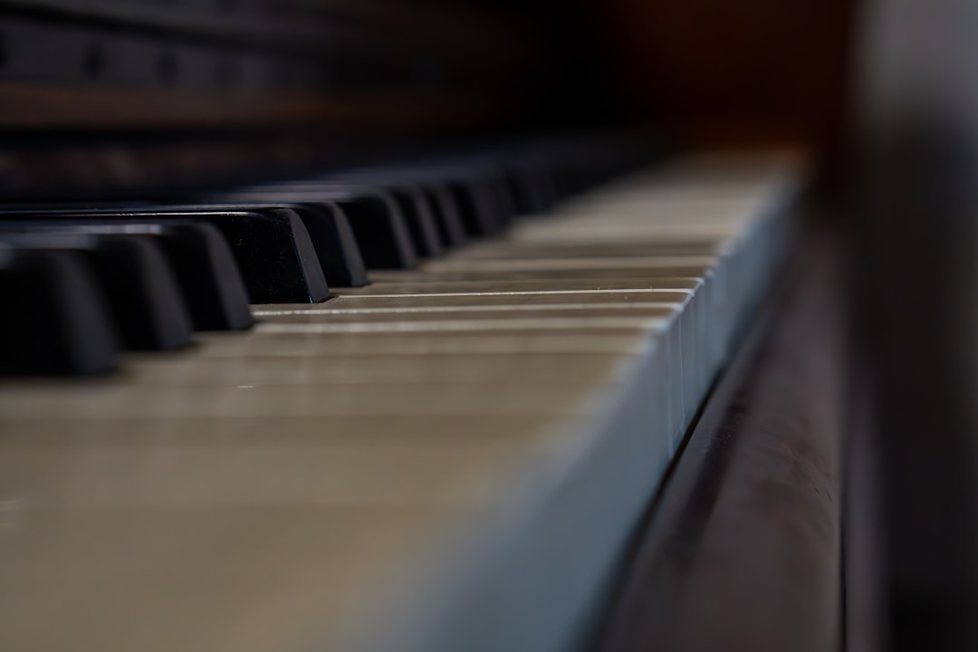 a close up view of a piano keyboard