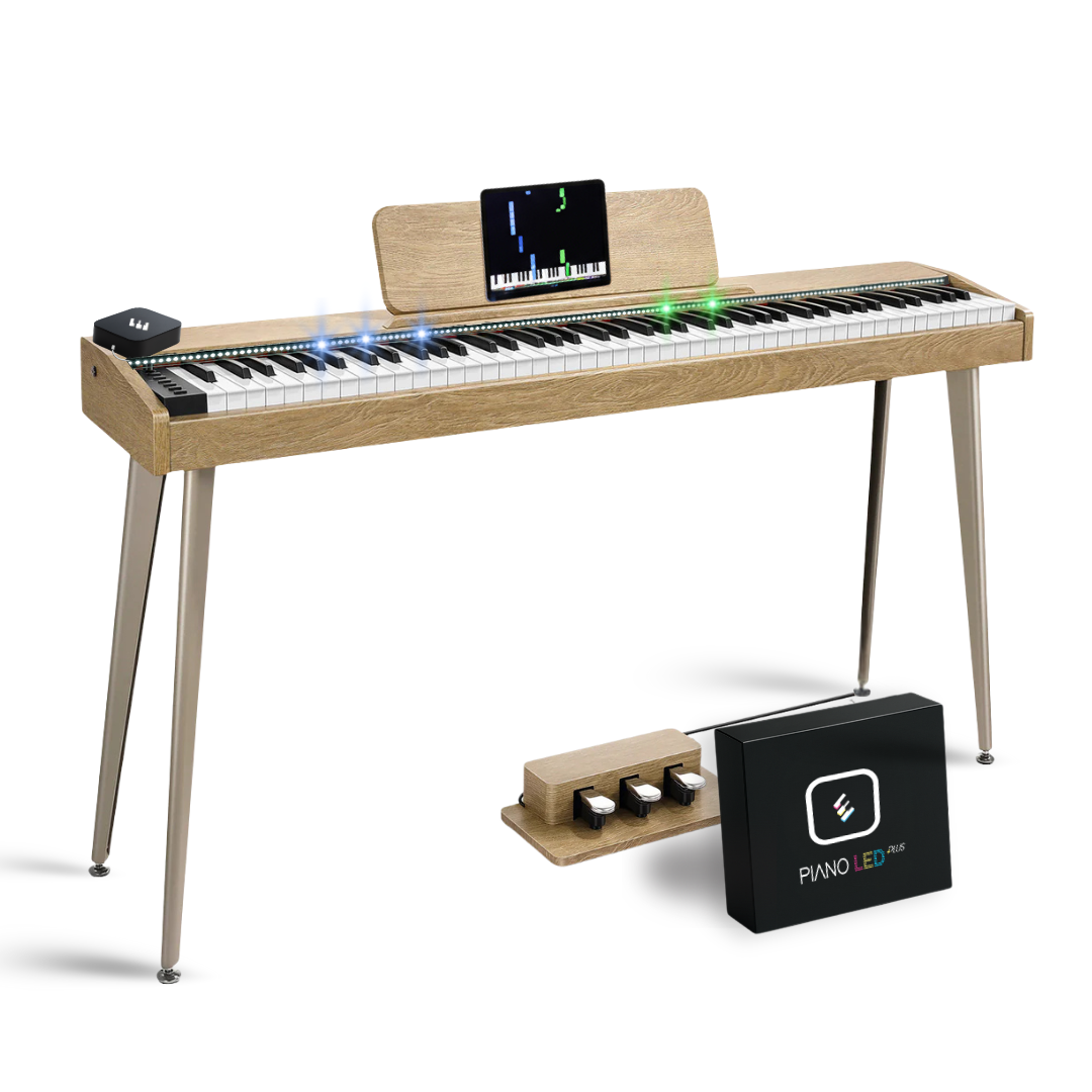 Donner DDP-60 +Piano LED Plus 2026®