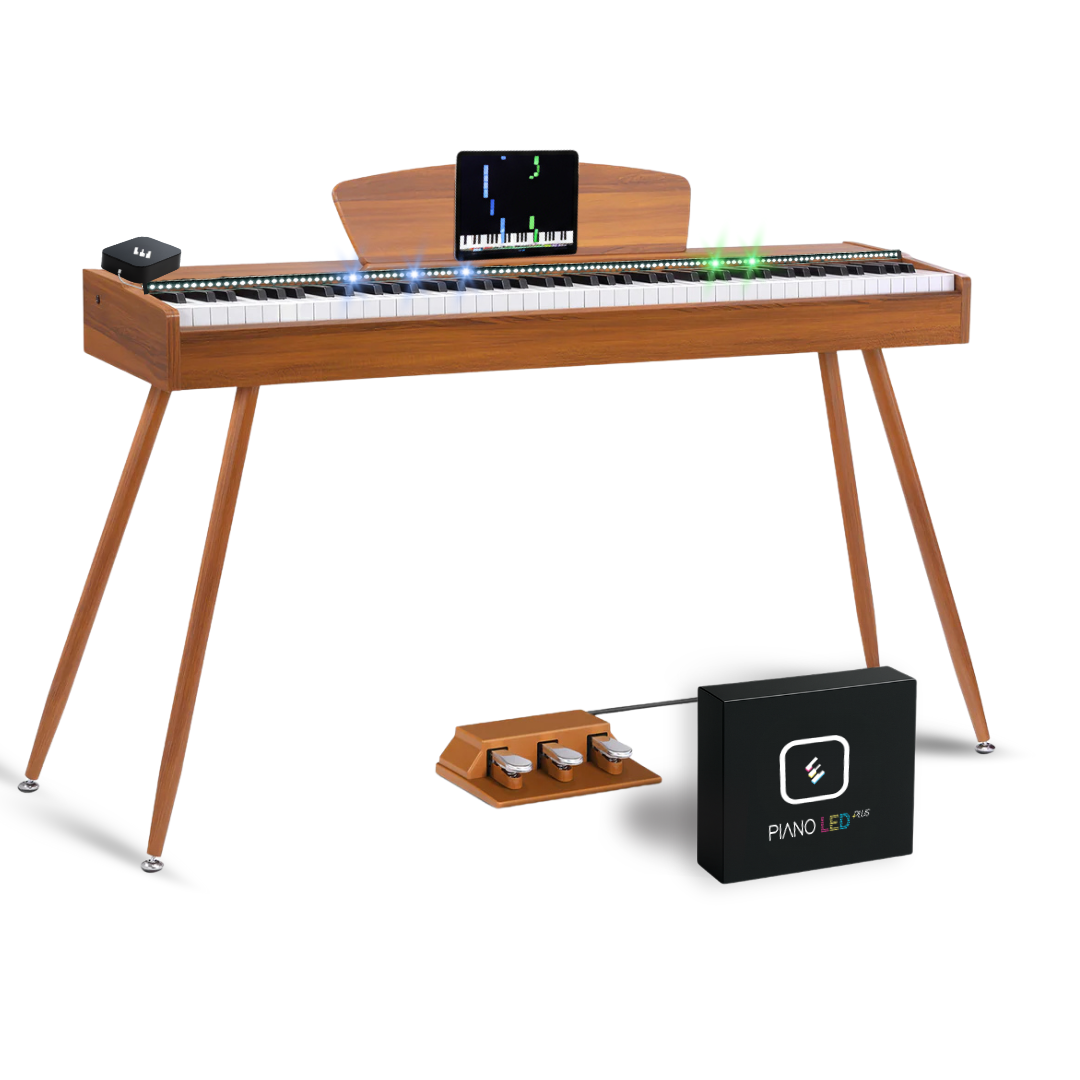 Donner DDP-80 + Piano LED Plus 2026®