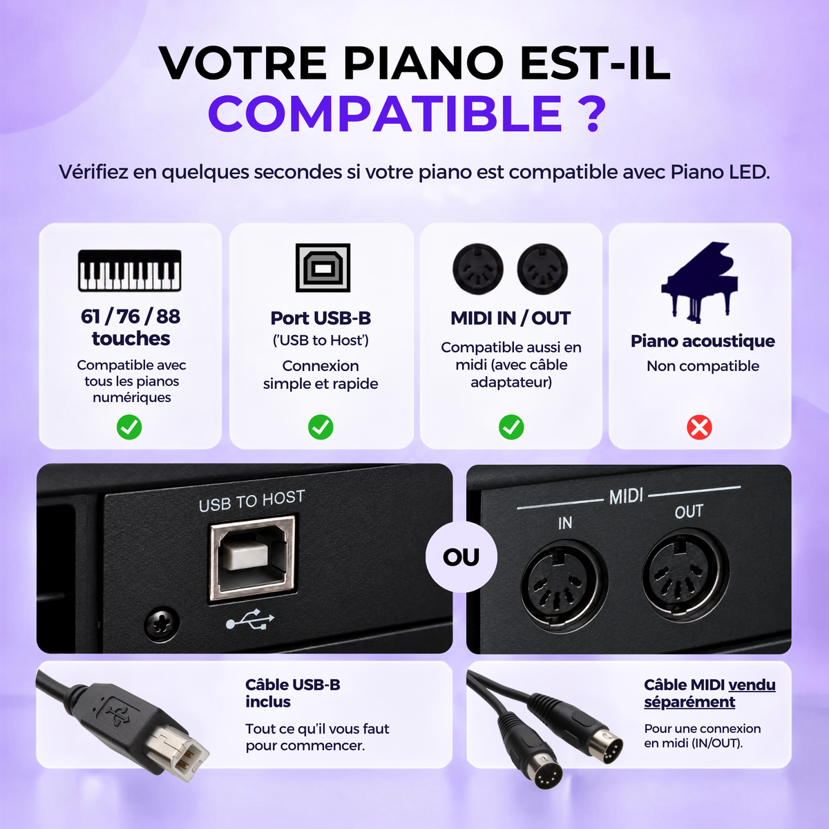 Immagine 3 (5).png